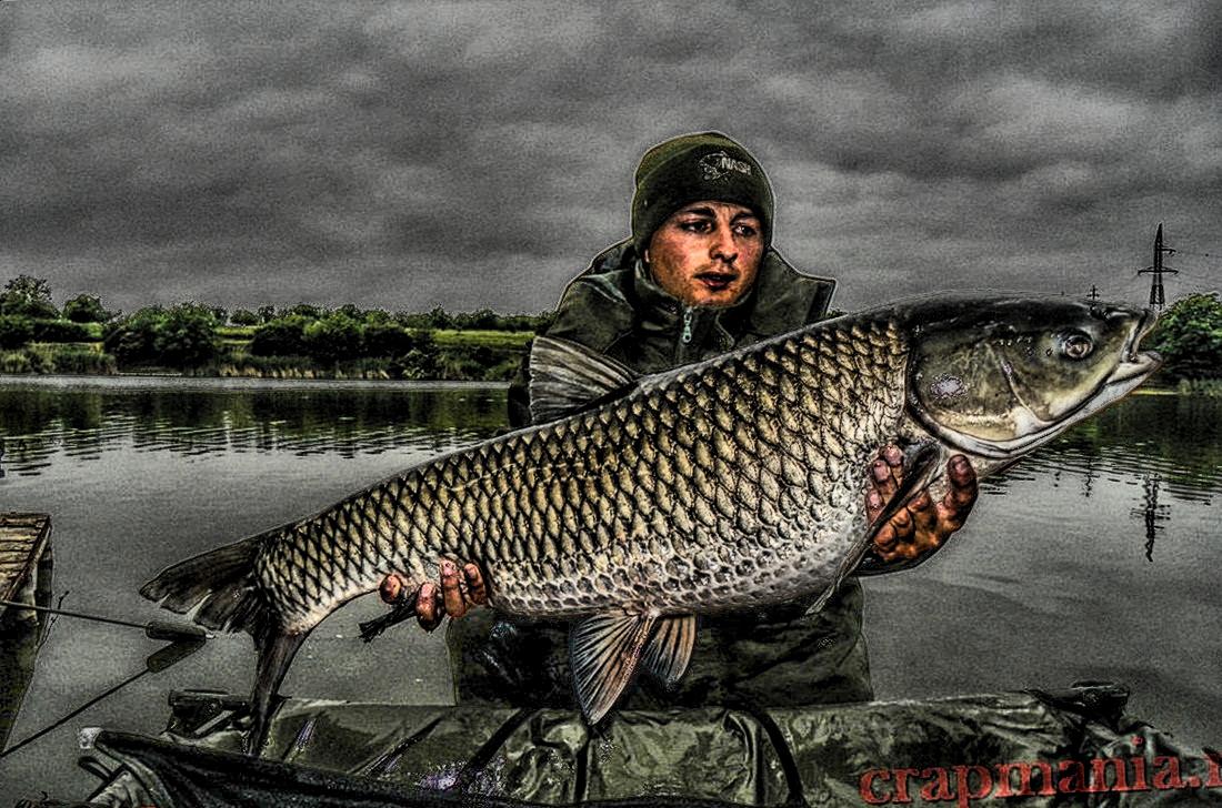 Crapmania (2) - 2013 - 1010363hdrmode2.JPG